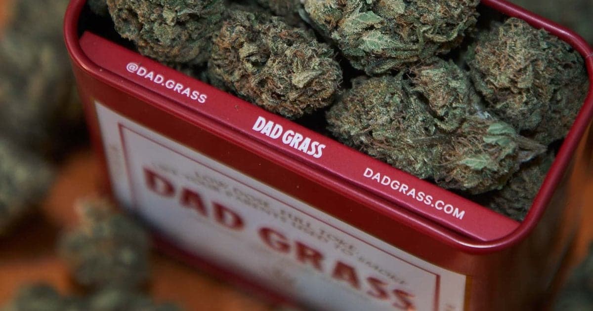 Dad Grass