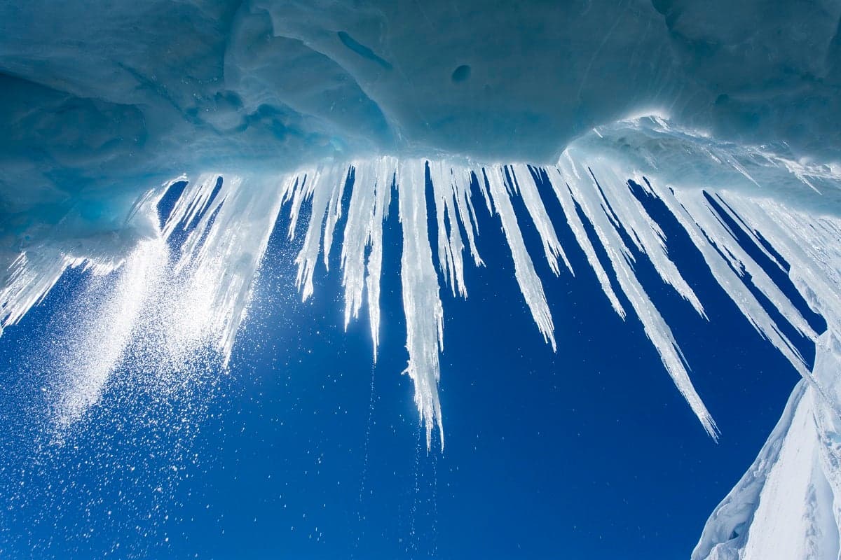 Paul Souders via Getty Images